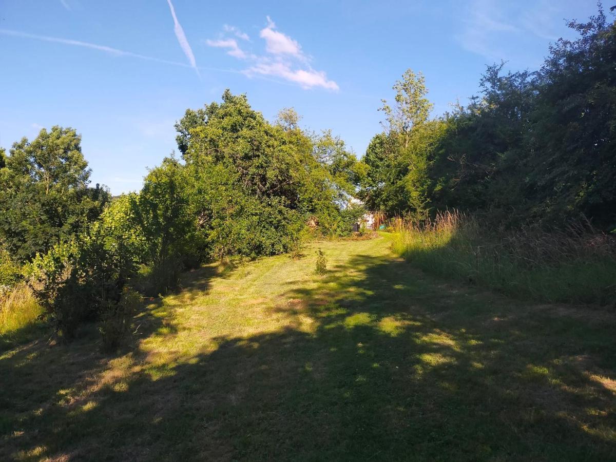 Tiny Messancy, Une Immersion Dans La Nature ! Exterior photo