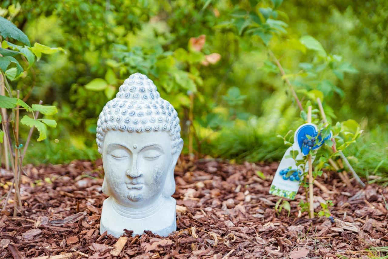 Tiny Messancy, Une Immersion Dans La Nature ! Exterior photo